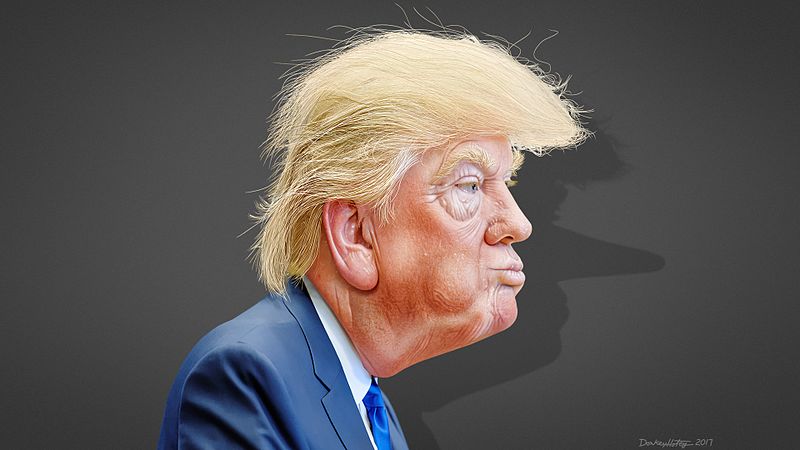 Donald Trump Caricature;