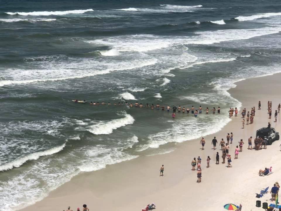 Beachgoers formed a human chain to save a swimmer caught up in a rip current on the beach in Panama City Beach, Florida ;
