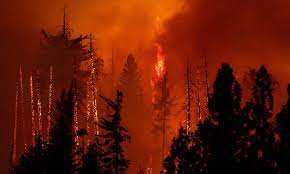 Oak Fire near Yosemite National Park;