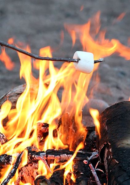 Roasting Marshmallows;