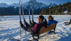 Two people sitting on a bench in the snow;