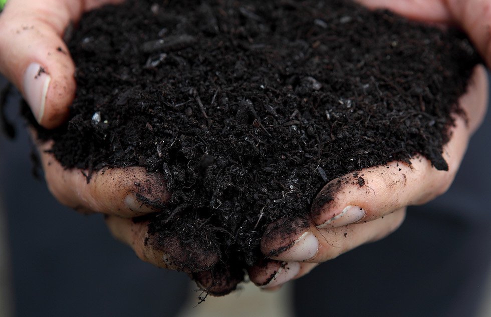 Human Compost Worm Food;