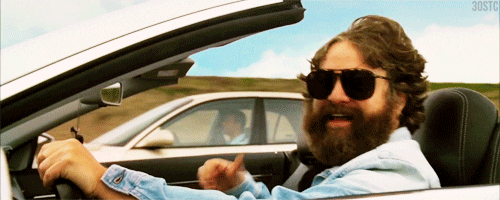 Zach Galifianakis giving the thumbs up, with a giraffe riding in the backseat, in the movie The Hangover III;